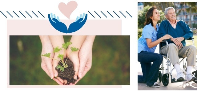 6 самых необходимых видов страхования. Какая страховка действительно полезна