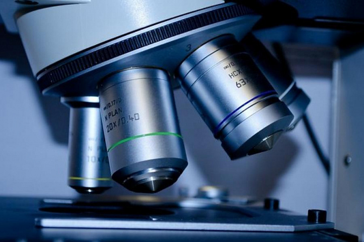 Ученые разработали высокоскоростной микроскоп для анализа работы мозга