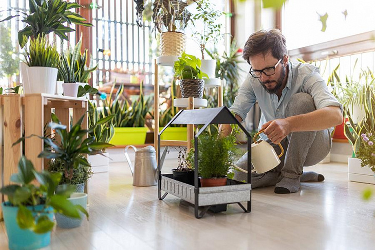 Городские фермеры: 3 истории о том, как устроить мини-огород в квартире