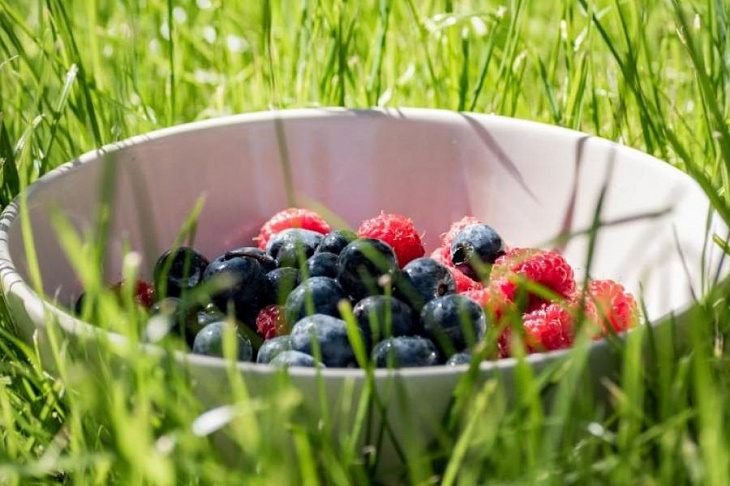 Диетолог назвала самую полезную ягоду