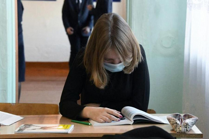 В России предложили обучать школьников безопасному поведению в социальных сетях