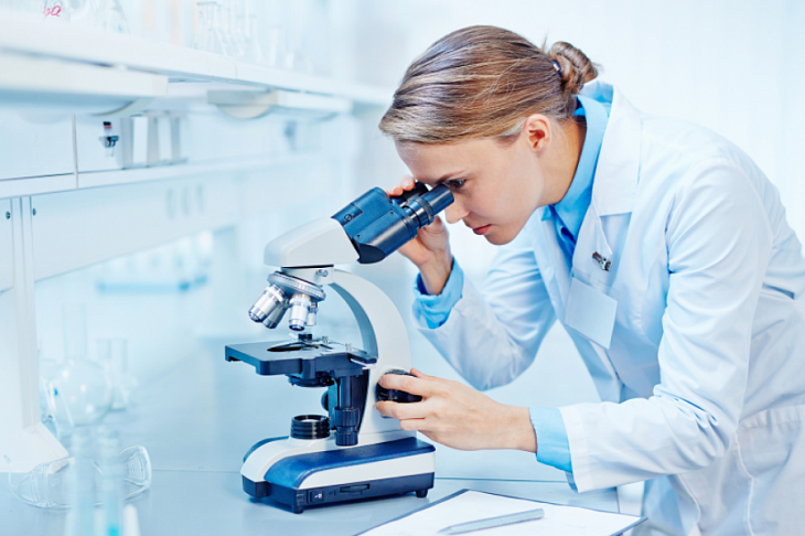 Прорыв: австралийские ученые создали модель человеческого эмбриона