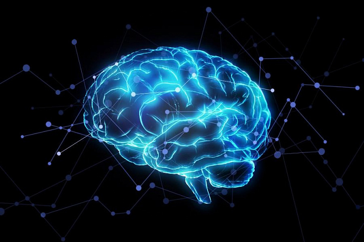 Неврологи обнаружили новый тип клеток головного мозга