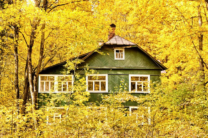 Дача и коттедж в Подмосковье: насколько выгодно покупать дом этой осенью.