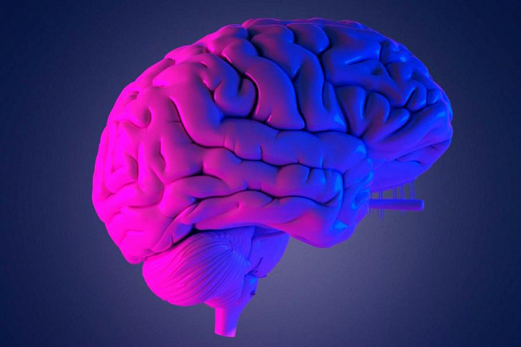 Наночастицы изменят схемы лечения болезней головного мозга