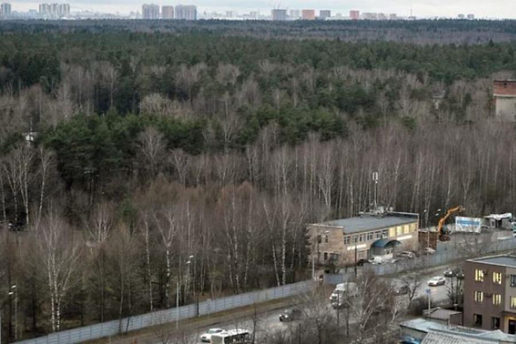 Из лесу вышел и снова зашел