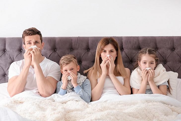 Сбежать от аллергии: как защитить дом, не покидая квартиры