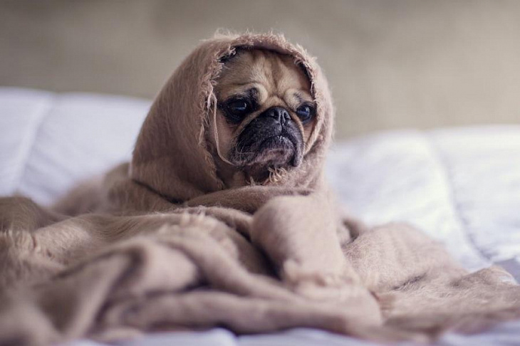 Психолог рассказала, как преодолеть эмоциональное выгорание