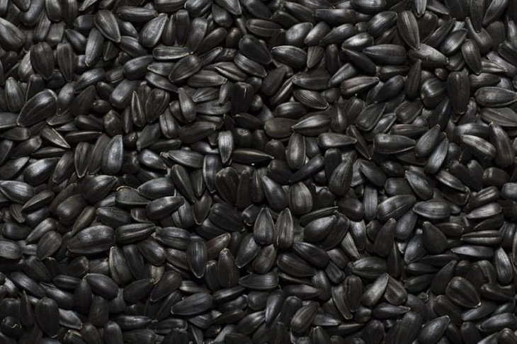 Врач перечислила пять причин отказаться от семечек