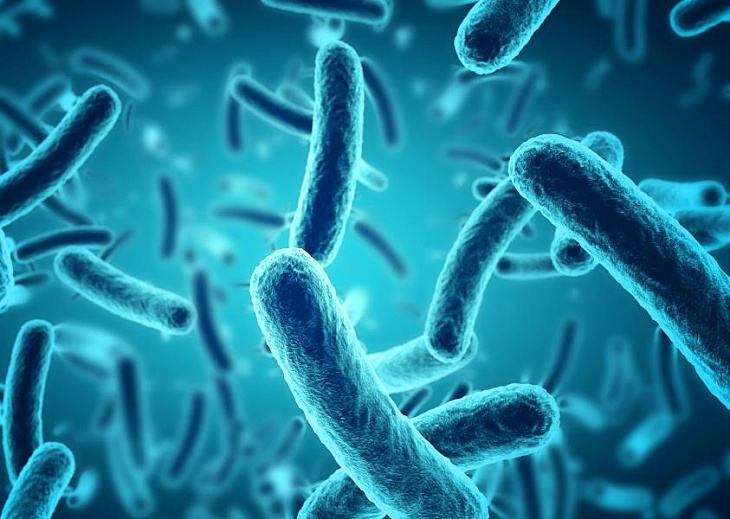 Эксперты нашли новый способ борьбы со стойкими бактериями