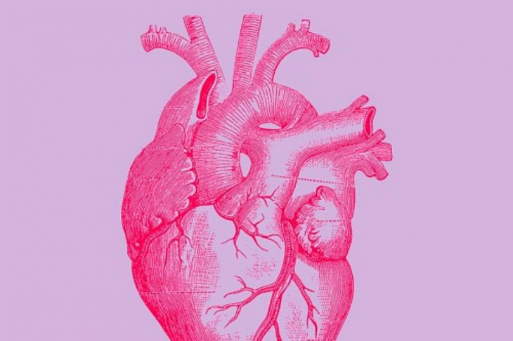 Кардиологи узнали, что на самом деле вызывает болезни сосудов