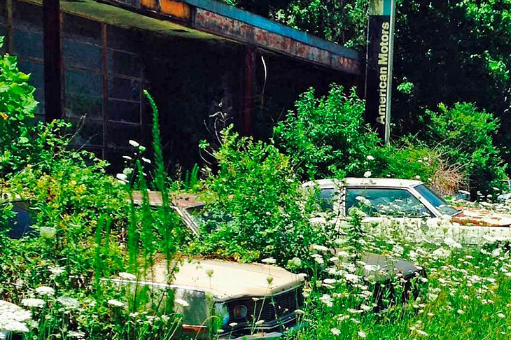 В США нашли заброшенный автосалон с сотней машин. Фото