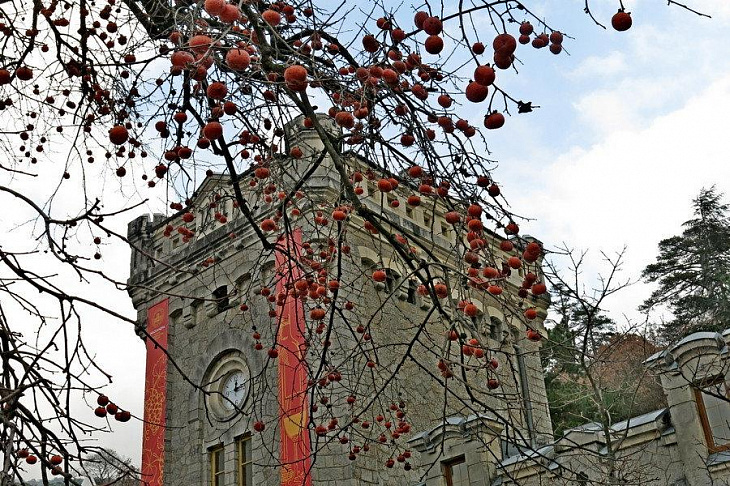 Техногиганты из США могут быть оштрафованы до 10% их оборота в Европе