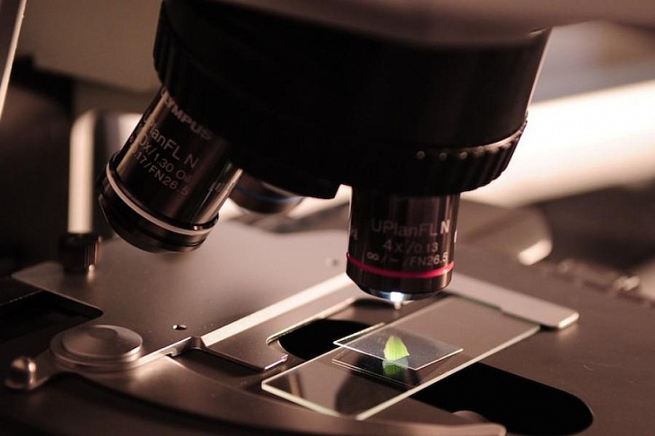 Антитела к коронавирусу найдут в крови за 20 минут