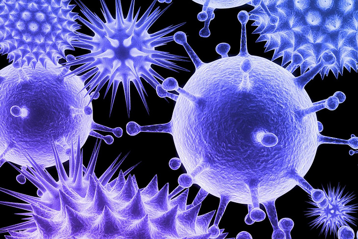 Вирусолог ответил Путину на вопрос о сокращении нерабочих дней