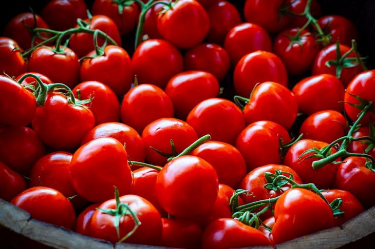 Токсиколог рассказал, как вычислить опасные томаты в магазине