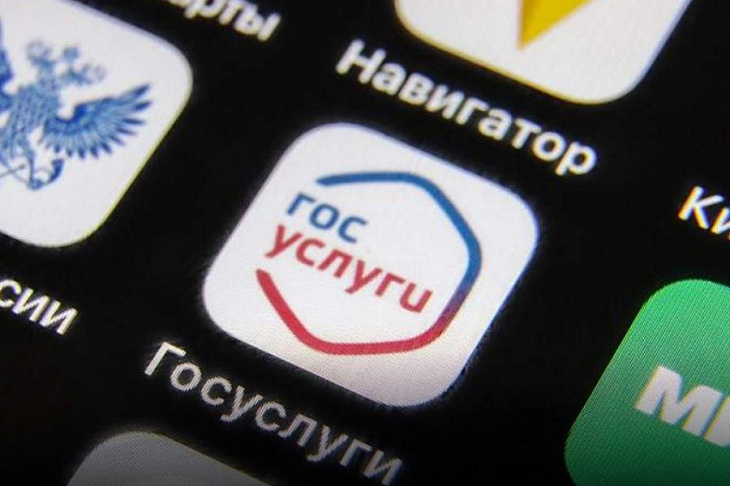 Тянут на себя: мошенники взламывают аккаунты россиян на «Госуслугах»