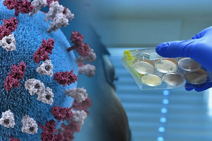 Найдено новое средство для лечения коронавируса