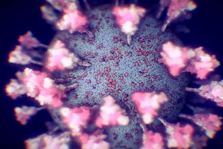 Врач назвал три причины невосприимчивости к коронавирусу