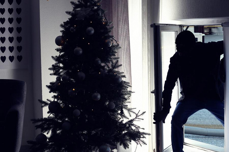 Как происходят квартирные кражи в новогодние праздники. Способы защиты 