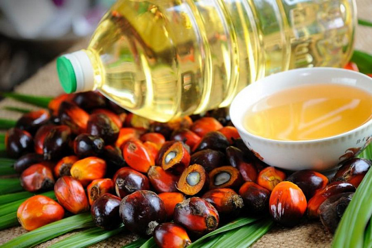 Выявлена смертельная опасность пальмового масла