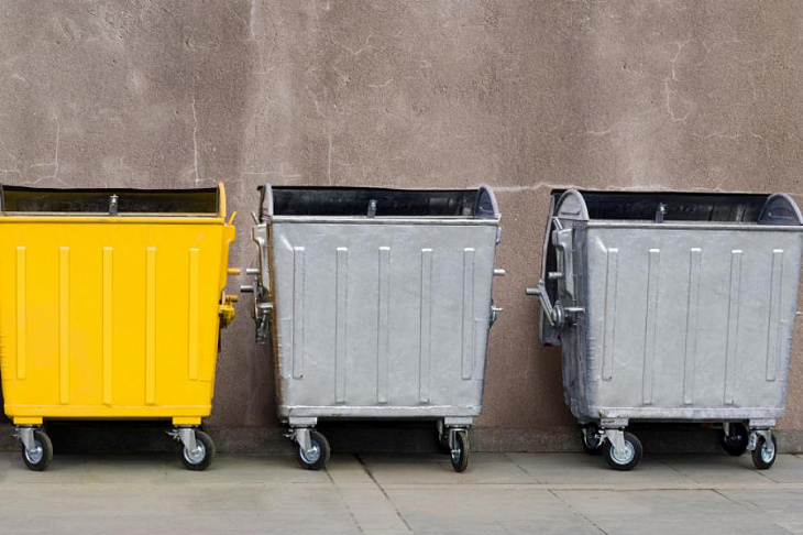 Минприроды попросило выделить из бюджета 12 млрд руб. на мусорные контейнеры для регионов