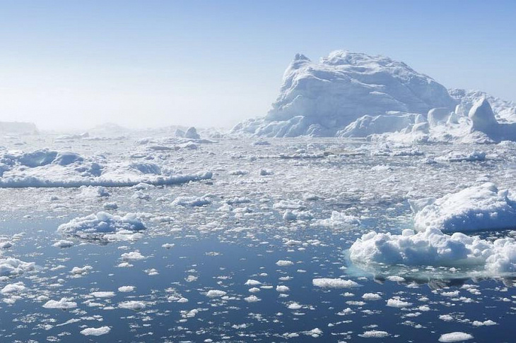 Арктика оказалась источником лекарств против опасных бактерий