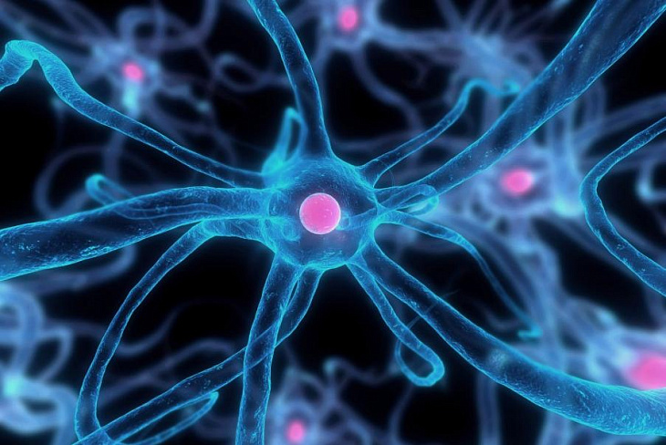 Отечественные неврологи перевернут лечение рака и других тяжелых заболеваний