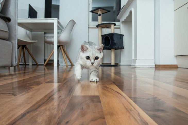 Риелторы отметили рост предложения жилья с отделкой в Москве на четверть 