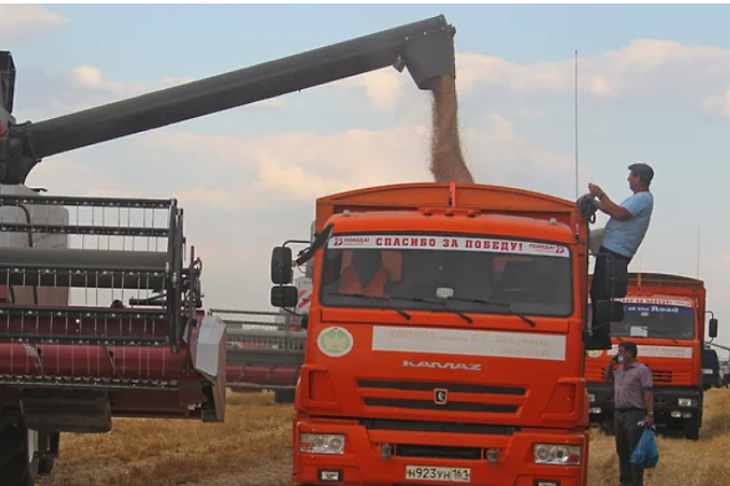 Зерно не пройдет