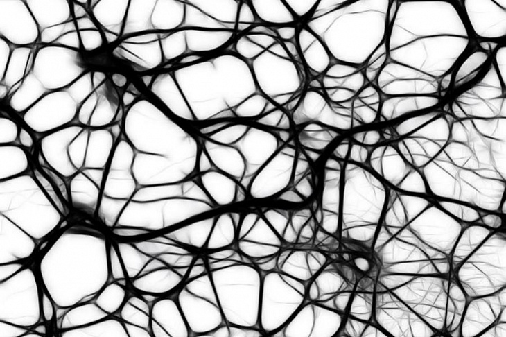 Мозговые имплантаты напечатали на 3D-принтере