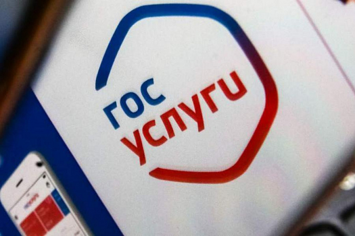 Эксперт объяснил появление 48 клонов «Госуслуг» после введения нерабочих дней