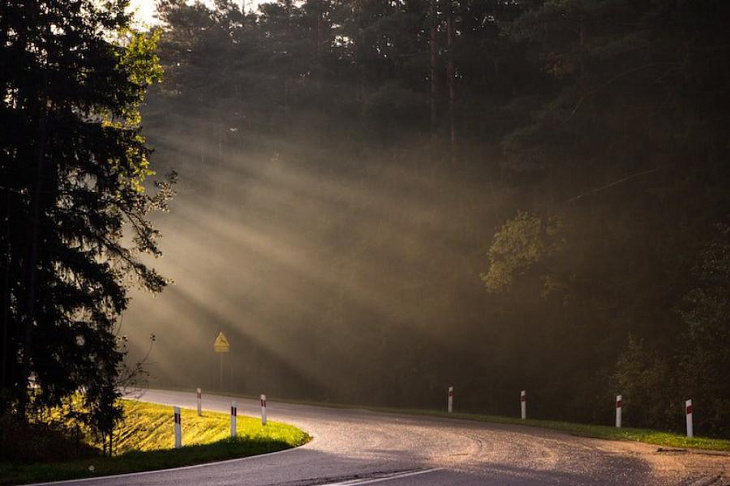 Солнечный свет защищает от тяжелого ковида