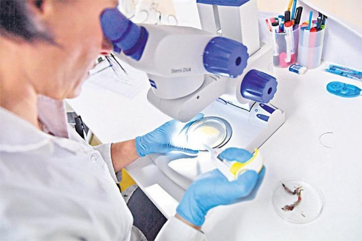 Названы сроки снижения заболеваемости COVID в РФ