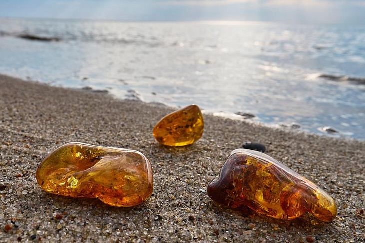 В янтаре обнаружили новый источник антибиотиков