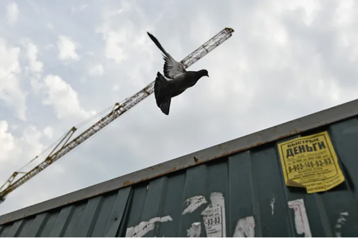 Девелоперы осваивают рабочие места