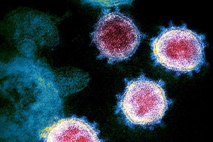 Пациент с атипичной пневмонией помог в борьбе с коронавирусом