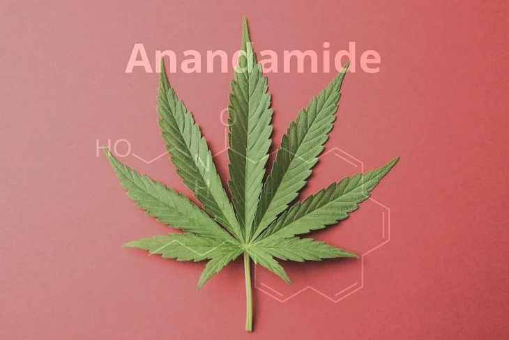 В организме нашли вещество, позволяющее пережить стресс