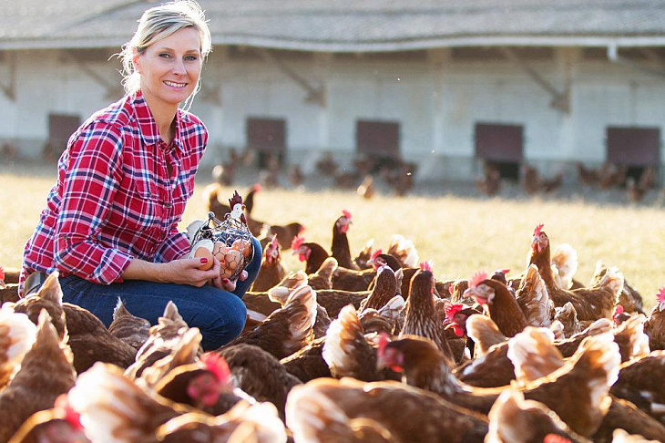 Чтоб не курам на смех