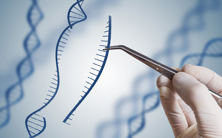Генная терапия поможет восстановить сердце после инфаркта