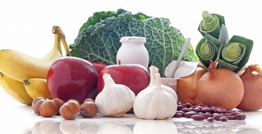 Пребиотики в рационе позволяют легче пережить стресс