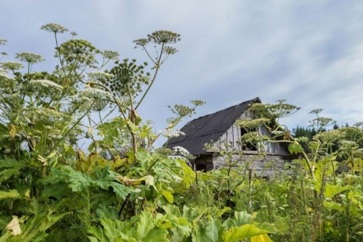 Земля до востребования