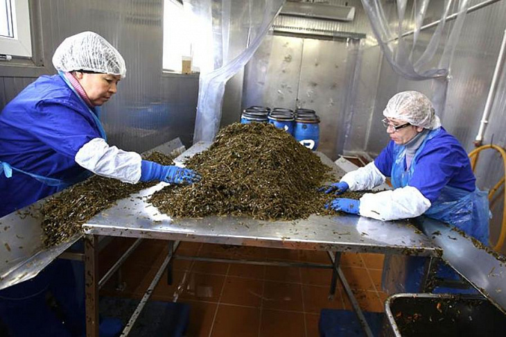 Назван снижающий риск заражения вирусами продукт