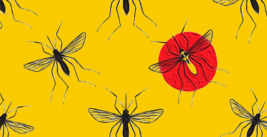 Найден новый способ уничтожения малярии