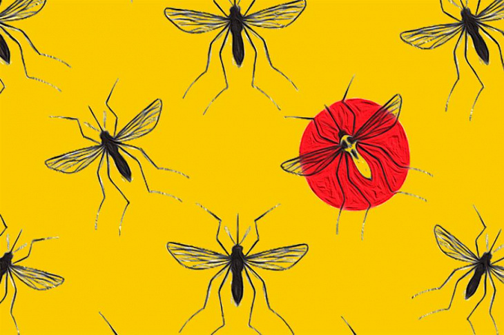 Найден новый способ уничтожения малярии