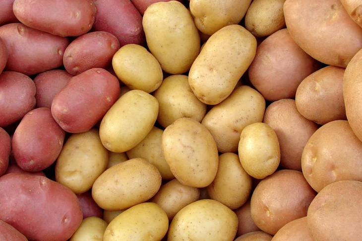Картофель оказался полезнее, чем думали