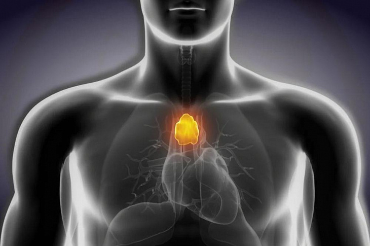 Тимус. «Точка счастья». Повышаем иммунитет, улучшаем настроение