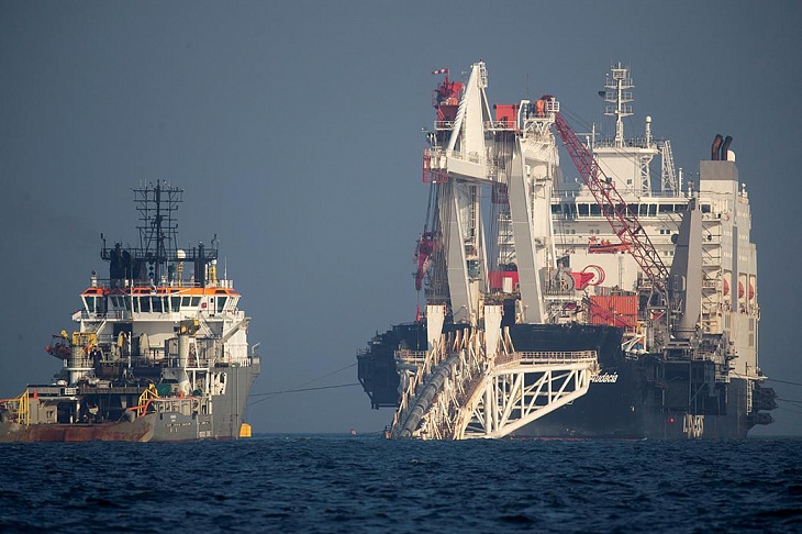 Оператор не увидел проблем у «Северного потока-2» из-за нереста трески.