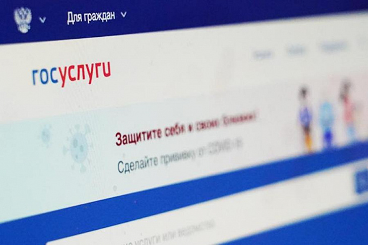 В России запланировали создать аналог «Госуслуг» для иностранцев