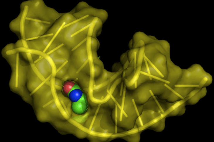 Новая методика поможет диагностировать целый спектр заболеваний максимально точно
